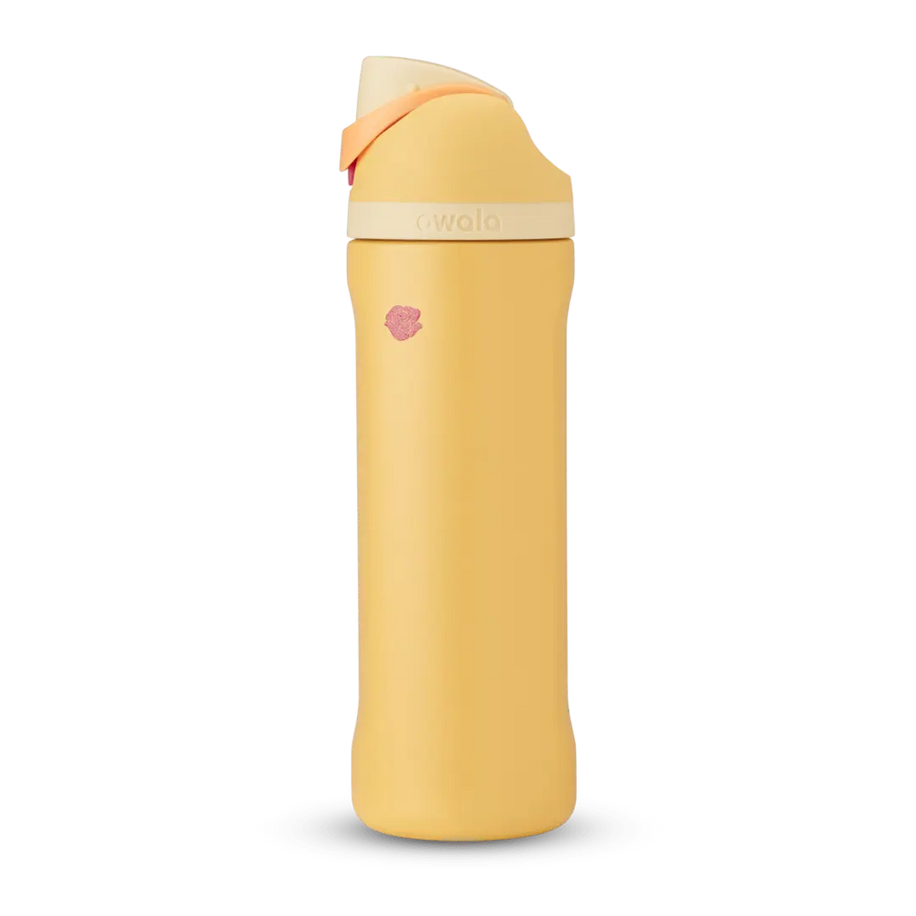 Disney Princess Collection owaloo