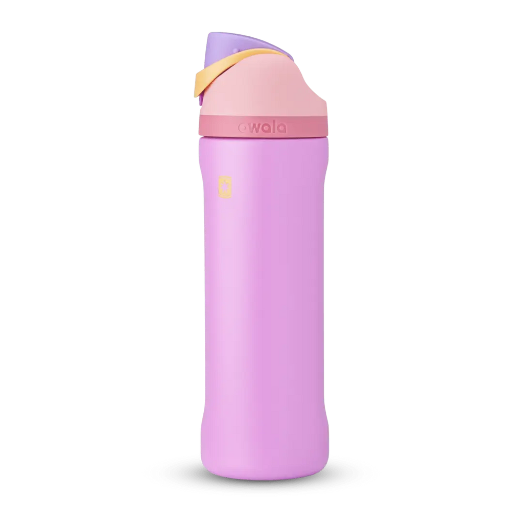 Disney Princess Collection owaloo