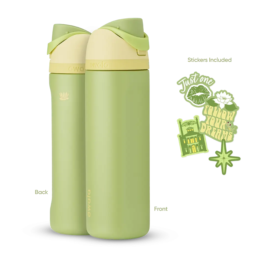 Disney Princess Collection owaloo